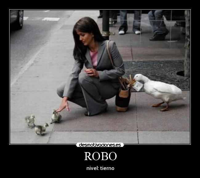 ROBO - nivel: tierno