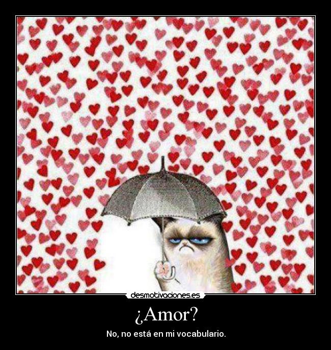 ¿Amor? -