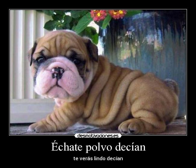 Échate polvo decían -