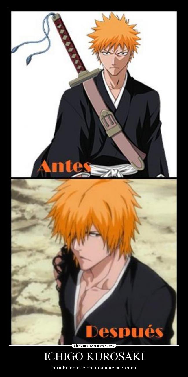 ICHIGO KUROSAKI - 