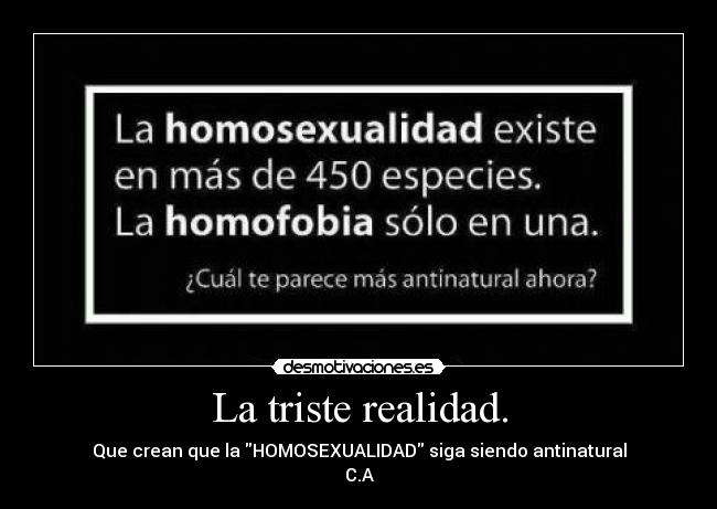 La triste realidad. - Que crean que la HOMOSEXUALIDAD siga siendo antinatural
C.A