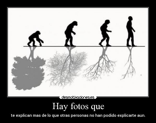 Hay fotos que - te explican mas de lo que otras personas no han podido explicarte aun.