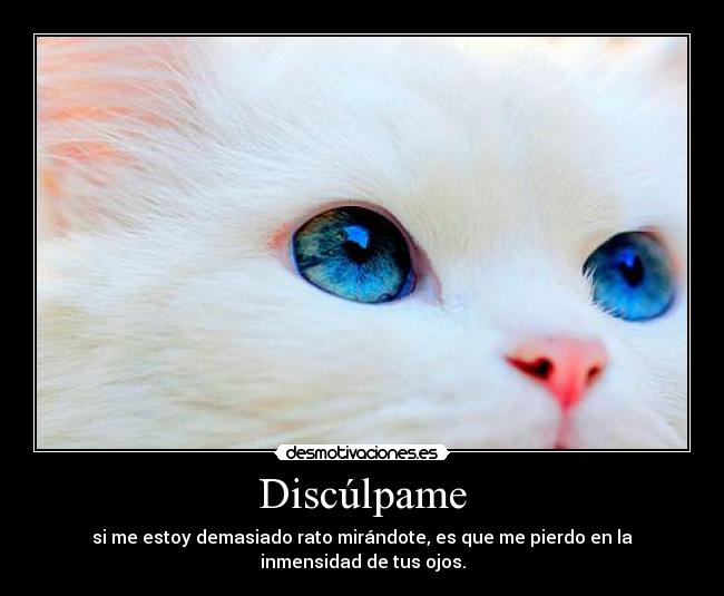 Discúlpame - 