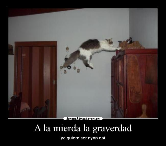 A la mierda la graverdad -