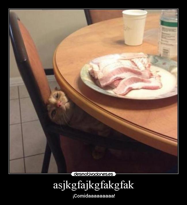 asjkgfajkgfakgfak - ¡Comidaaaaaaaaa!
