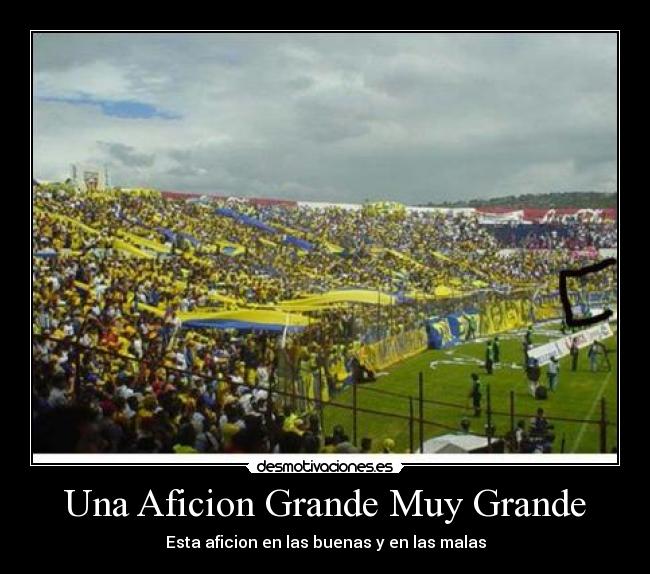 carteles futbo desmotivaciones