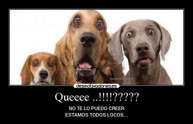 Queeee ..!!!!????? - NO TE LO PUEDO CREER
ESTAMOS TODOS LOCOS....