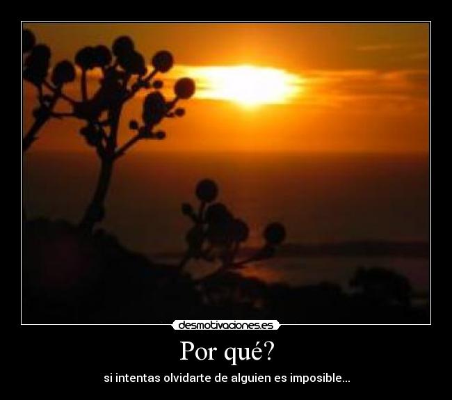 Por qué? - 