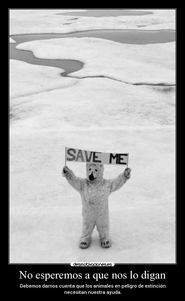 No esperemos a que nos lo digan - Debemos darnos cuenta que los animales en peligro de extinción
necesitan nuestra ayuda.