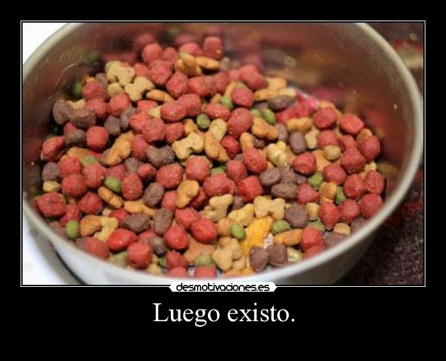Luego existo. -