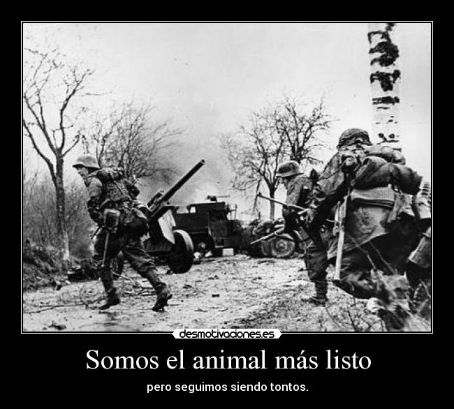 Somos el animal más listo - 