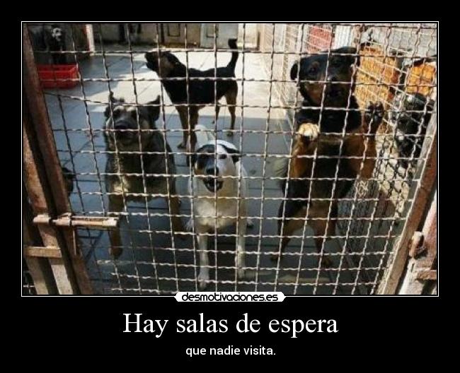 Hay salas de espera - 