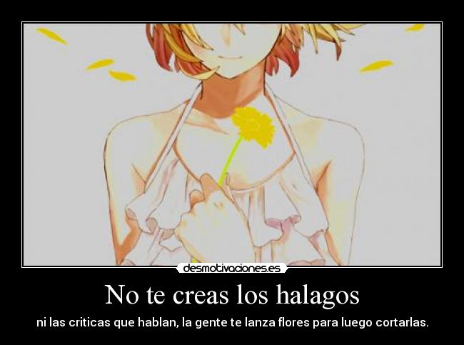No te creas los halagos - ni las criticas que hablan, la gente te lanza flores para luego cortarlas.