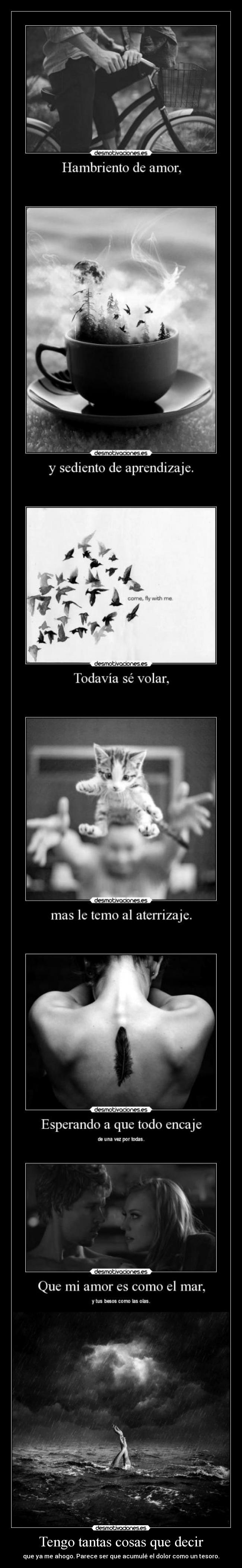 Tengo tantas cosas que decir - 