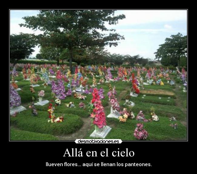 Allá en el cielo - llueven flores... aquí se llenan los panteones.