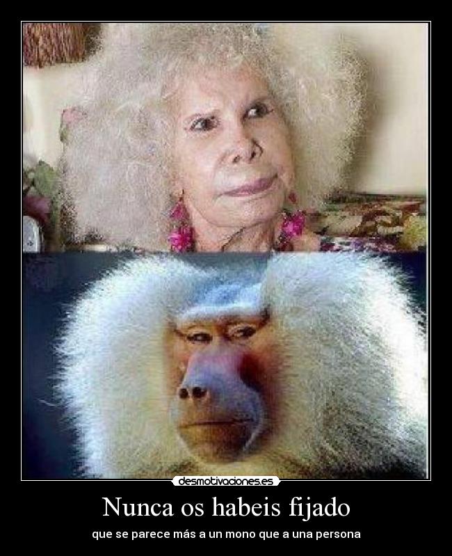 Nunca os habeis fijado -