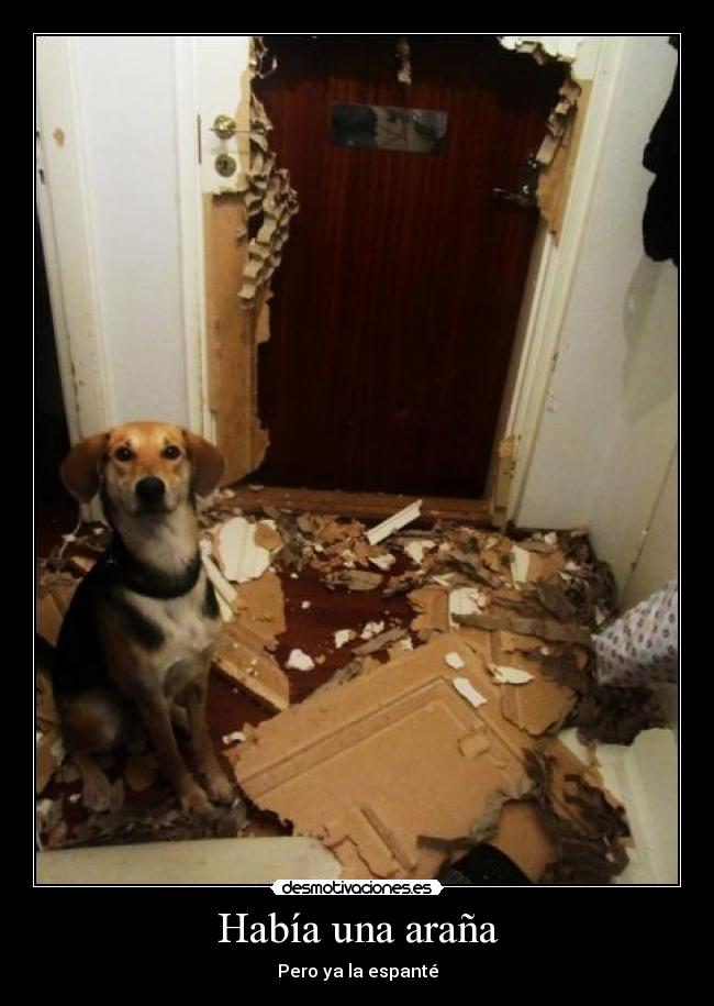 Había una araña - Pero ya la espanté