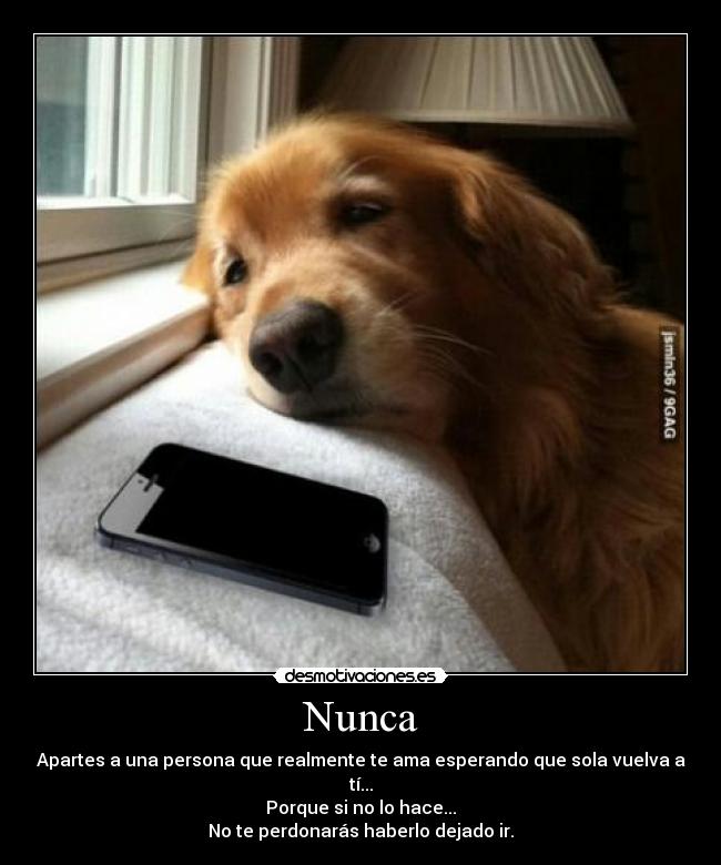 carteles despecho desmotivaciones