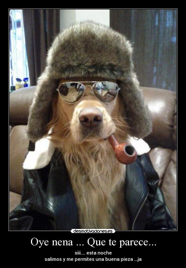 Oye nena ... Que te parece... - siii.... esta noche
salimos y me permites una buena pieza ...ja