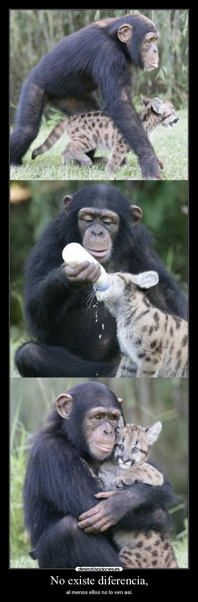 No existe diferencia, - al menos ellos no lo ven así.