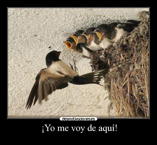 ¡Yo me voy de aquí! -