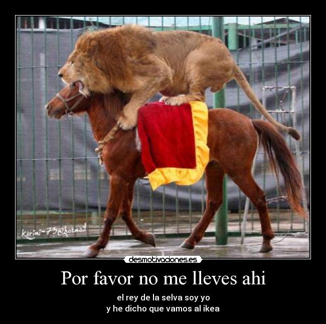 carteles humorabsurdo desmotivaciones