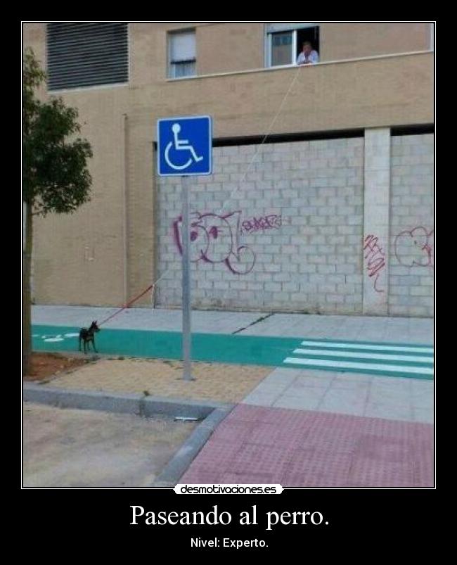 Paseando al perro. - Nivel: Experto.