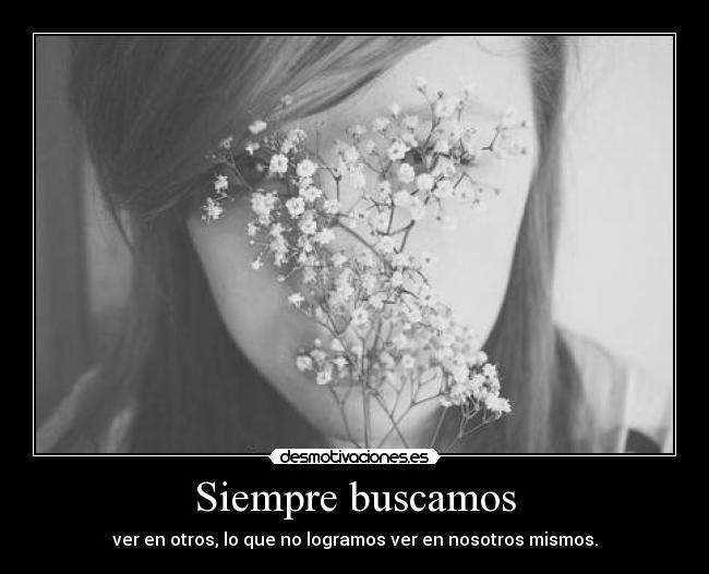 Siempre buscamos -