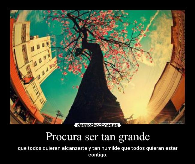 carteles rutherfordio waltk corazon procura ser muy grande pero mucho mas humilde desmotivaciones