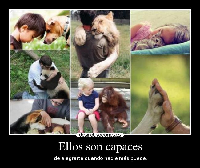 Ellos son capaces - 