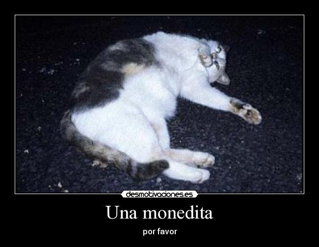 Una monedita - por favor