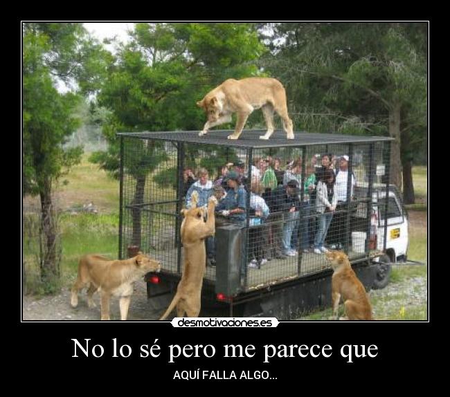 No lo sé pero me parece que - AQUÍ FALLA ALGO...