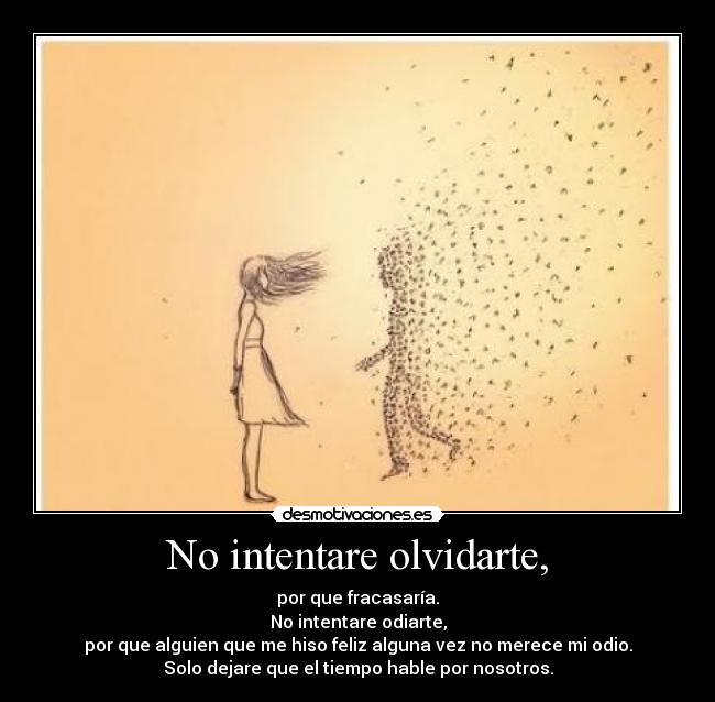 No intentare olvidarte, - por que fracasaría.
No intentare odiarte,
por que alguien que me hiso feliz alguna vez no merece mi odio.
Solo dejare que el tiempo hable por nosotros.
