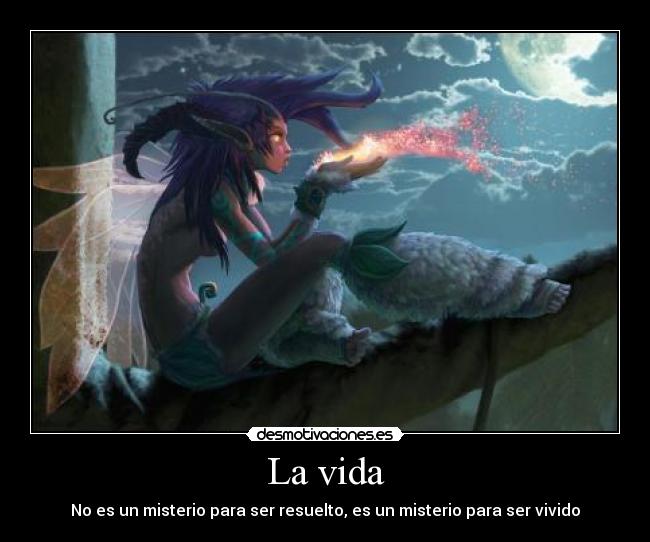 carteles vida comprendo vida pero se que hermosa desmotivaciones