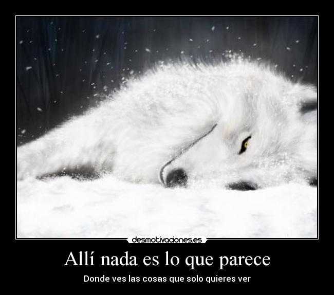 Allí nada es lo que parece -