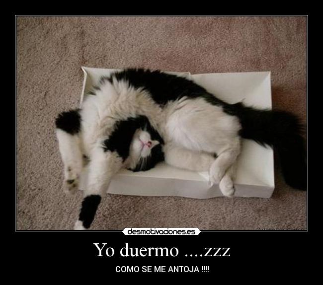 Yo duermo ....zzz - COMO SE ME ANTOJA !!!!