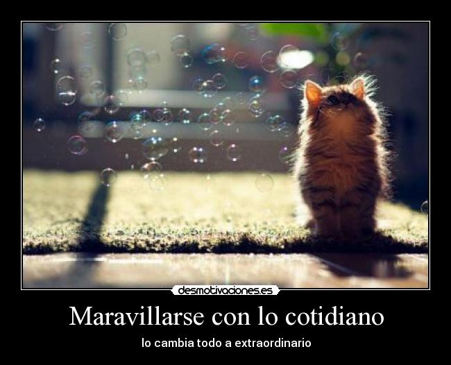 Maravillarse con lo cotidiano - lo cambia todo a extraordinario