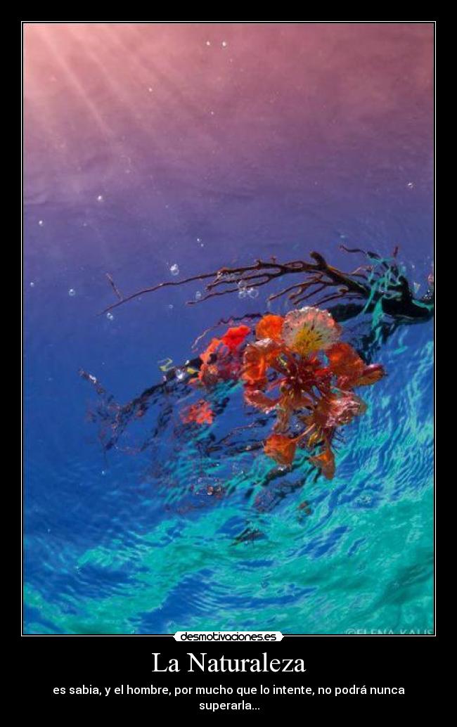 La Naturaleza - es sabia, y el hombre, por mucho que lo intente, no podrá nunca superarla...