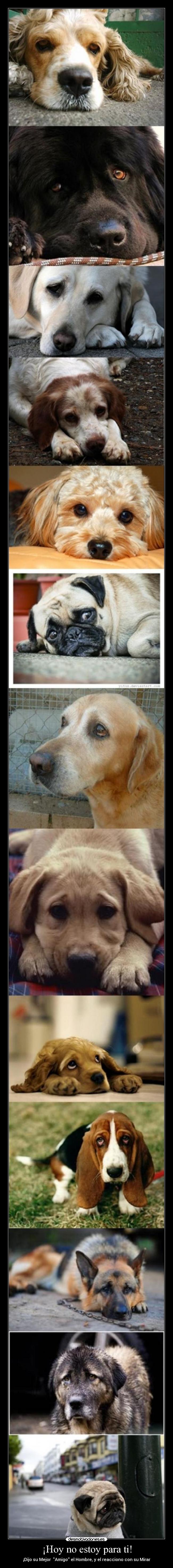 ¡Hoy no estoy para ti! - 