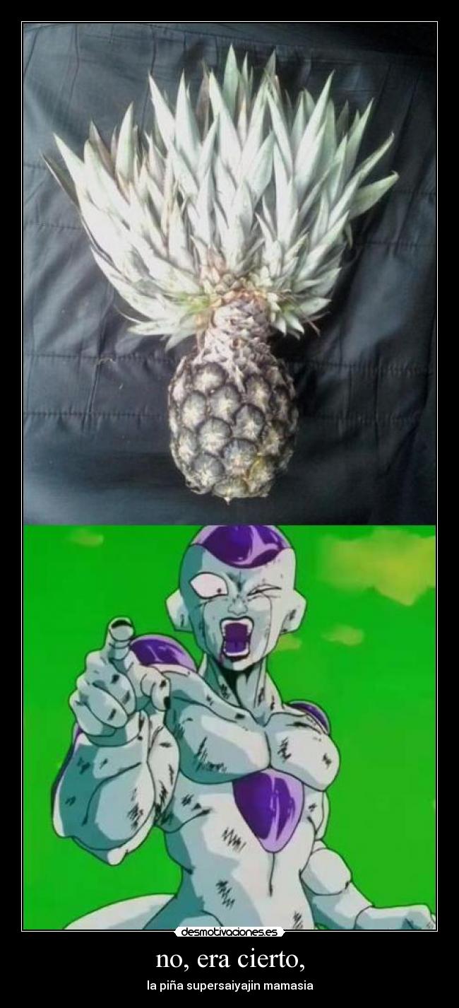 no, era cierto, - la piña supersaiyajin mamasia