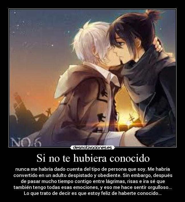 Si no te hubiera conocido -