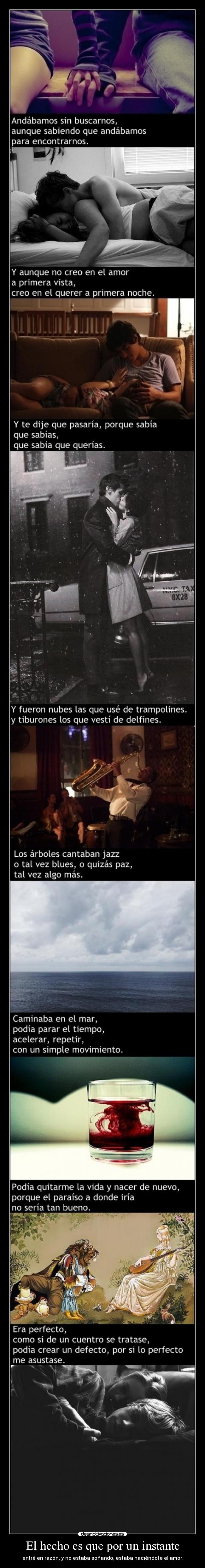 El hecho es que por un instante - entré en razón, y no estaba soñando, estaba haciéndote el amor.