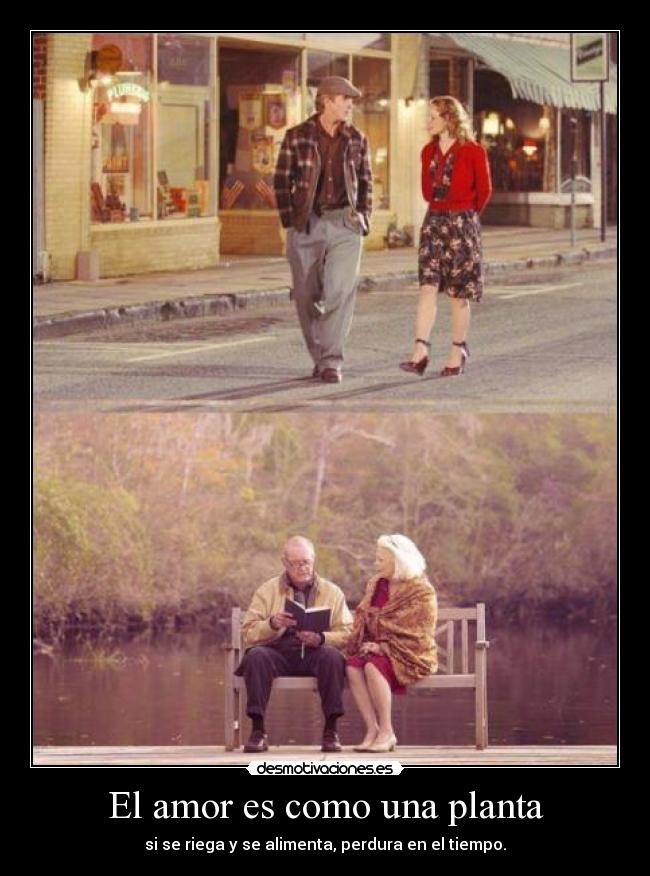 El amor es como una planta - si se riega y se alimenta, perdura en el tiempo.