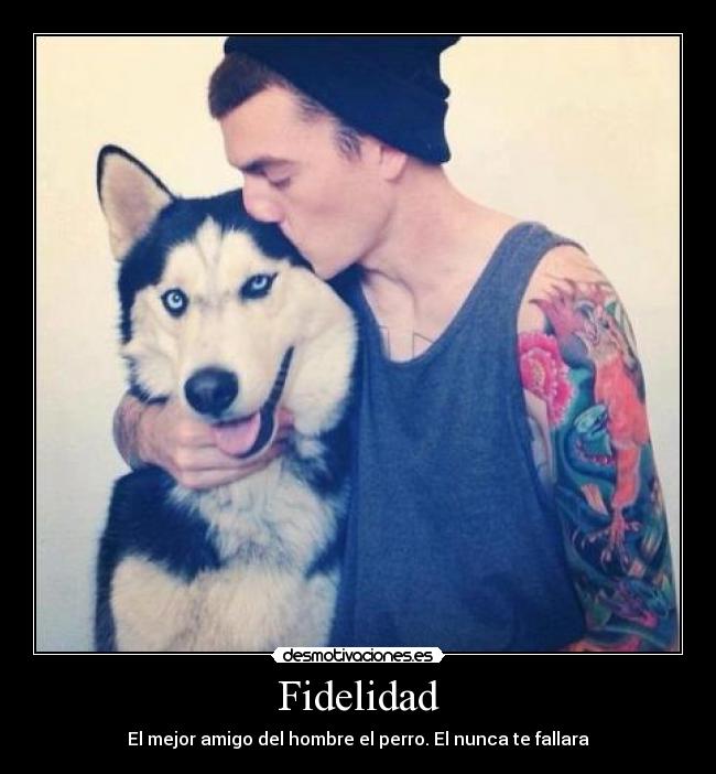 Fidelidad - El mejor amigo del hombre el perro. El nunca te fallara