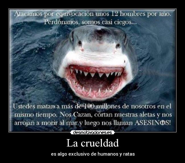 carteles theinmortals ecologiaradical tiburones desmotivaciones