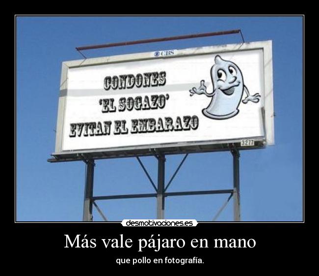 Más vale pájaro en mano - 