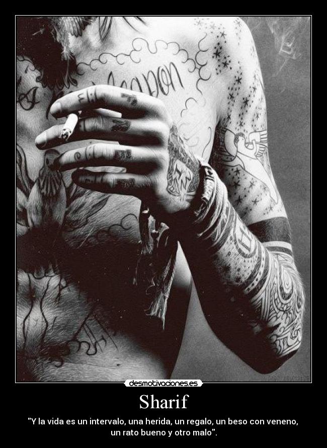 Sharif - Y la vida es un intervalo, una herida, un regalo, un beso con veneno,
un rato bueno y otro malo.