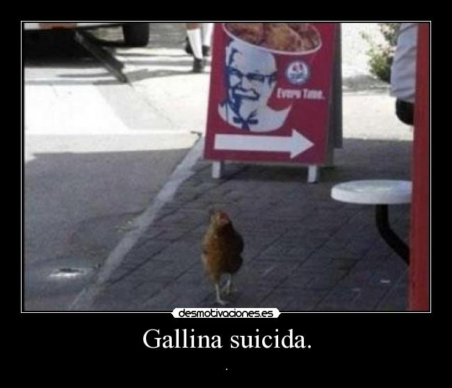 Gallina suicida. - .