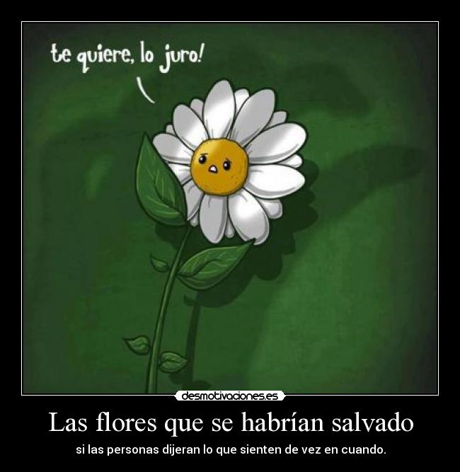 Las flores que se habrían salvado - si las personas dijeran lo que sienten de vez en cuando.