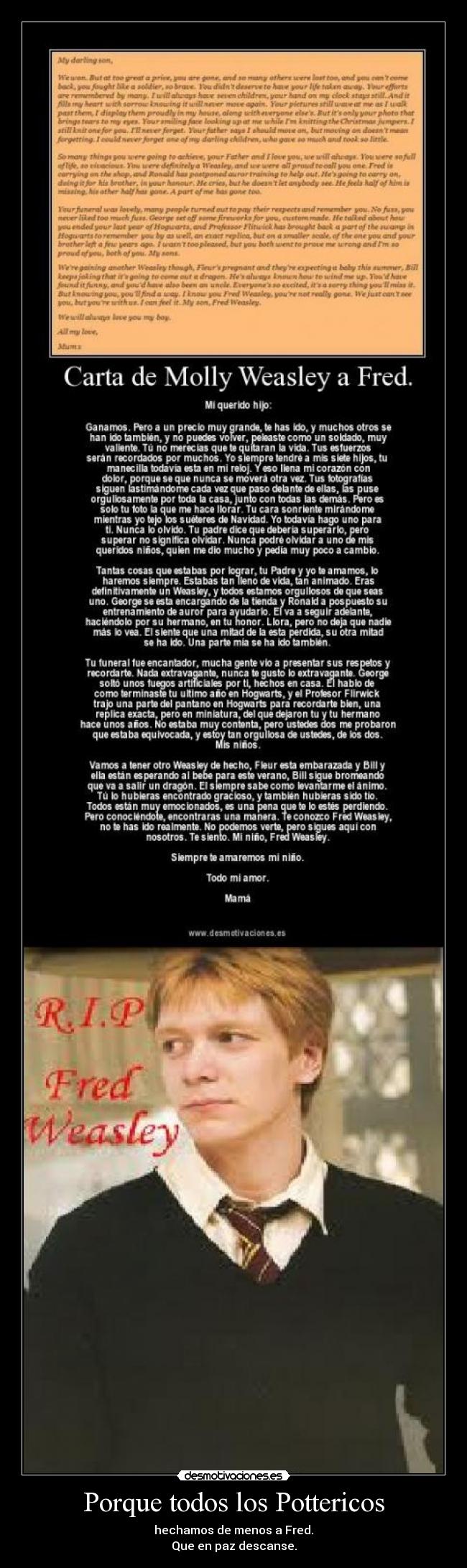 Porque todos los Pottericos -